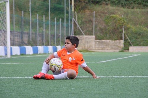 IMG_4871 Copia
